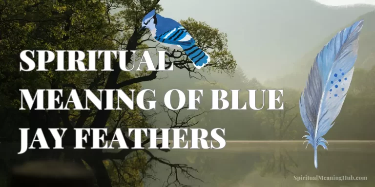 blue jay feather spiritual meaning