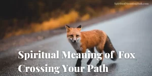 fox crossing your path