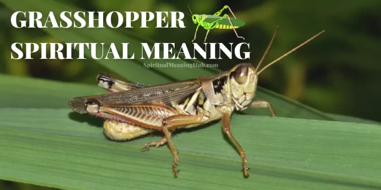 grasshopper spiritual meaning
