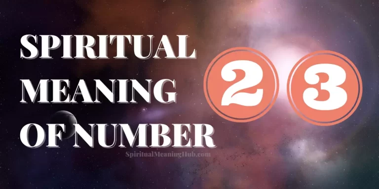 number 23 meaning