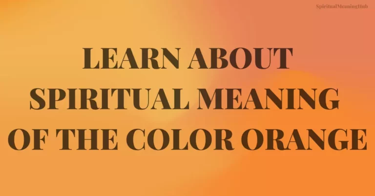 orange color meaning