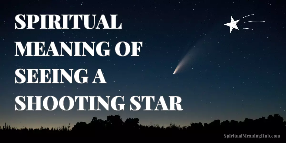 Spiritual Meaning Of Seeing A Shooting Star 0865