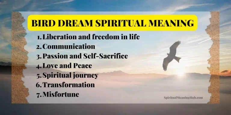 bird dream meaning