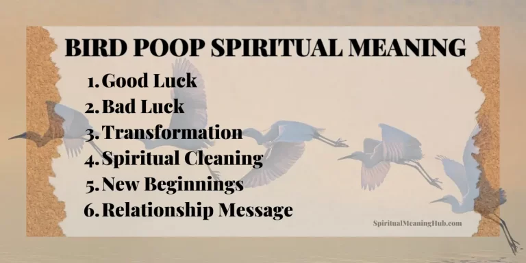 bird poop spiritual meaning