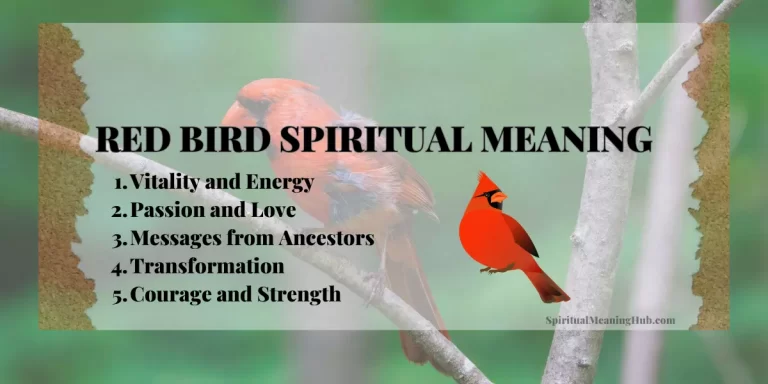 red bird spiritual meaning